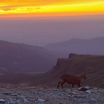 Alba sulla pianura dal Rifugio Quintino Sella (Monviso). 04/08/2025 (Foto di Federico Perazzo)
