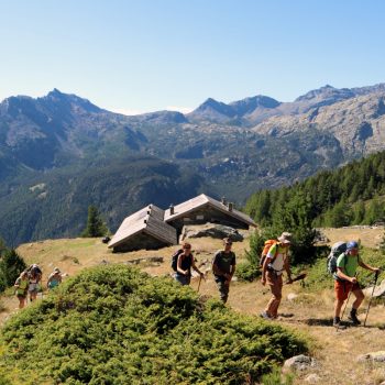 Alpe Pian Tsatè 2005 m. Salendo al monte Barbeston. 31 agosto 2025. (Foto di Andrea Miola)
