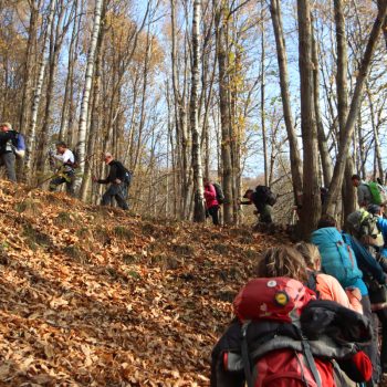Gita sociale al Monte Gregorio, Valchiusella, 9/11/2025 (Foto di Andrea Miola)
