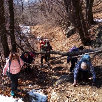 Un po’ di ginnastica per superare gli alberi caduti. Gita alle frazioni di Pont. 19 marzo 2026 (Foto di Janice Forster).