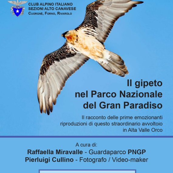 20260507Gipeto_page-0001