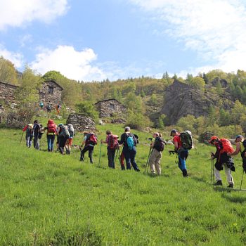 Gita nel Vallone di Vassola. Chialamberto, 3 maggio 2026 (F. Andrea Miola)