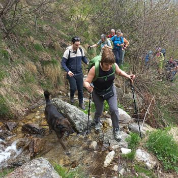 Gita nel Vallone di Vassola. Chialamberto, 3 maggio 2026 (F. Gianpiero Oberto)