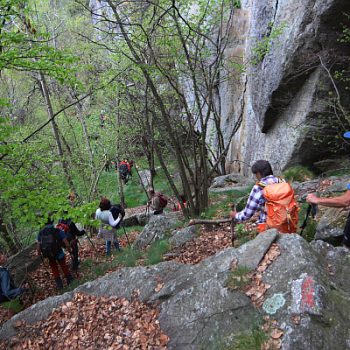 Gita nel Vallone di Vassola. Chialamberto, 3 maggio 2026 (F. Andrea Miola)