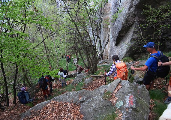 Gita nel Vallone di Vassola. Chialamberto, 3 maggio 2026 (F. Andrea Miola)