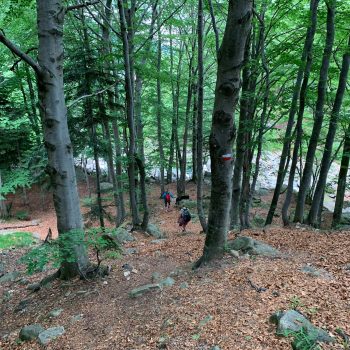 Gita sociale al Lago del Mucrone, Oropa, 31 maggio 2026 (Foto di Ennio Gaddò)